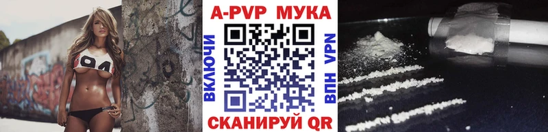 Альфа ПВП СК  Южно-Сухокумск 