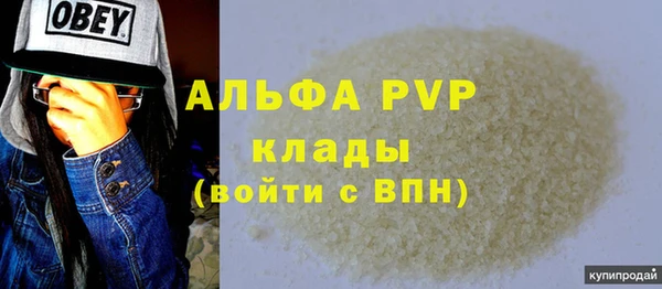 СК Вязьма