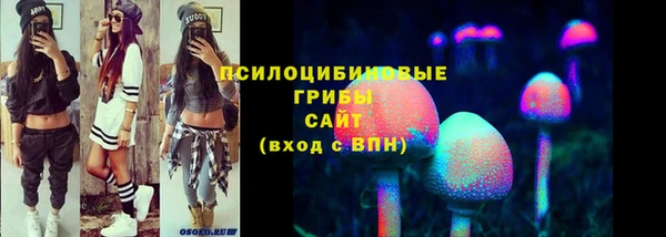 мяу мяу мука Вяземский