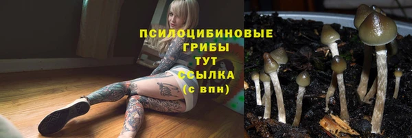 мяу мяу мука Вяземский