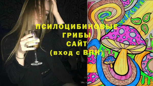 мяу мяу мука Вяземский