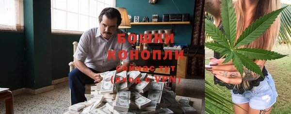 СК Вязьма