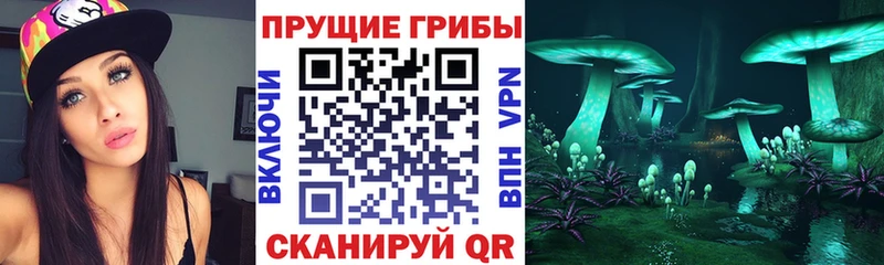 мориарти официальный сайт  KRAKEN ONION  Южно-Сухокумск  Псилоцибиновые грибы Psilocybine cubensis 